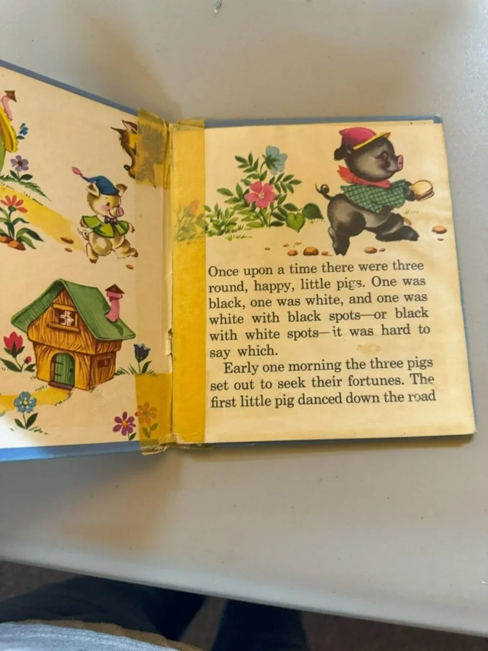 Rand Mcnally charming vintage